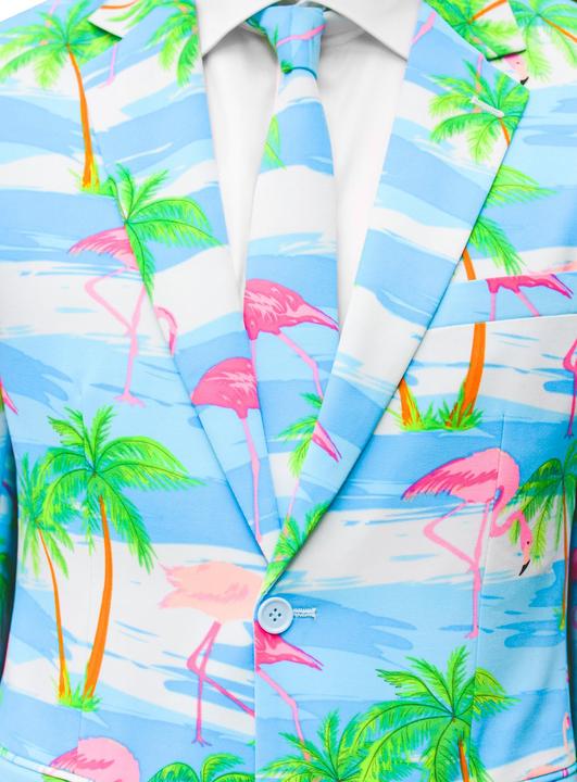 Image du produit OppoSuits Flaminguy (50)