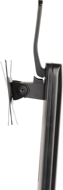 Produktbild StarTech Monitorhalter (Tisch, 34.02")