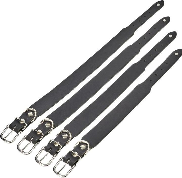 Actual product image Laboni Collar Giro M (M, Dog, General)