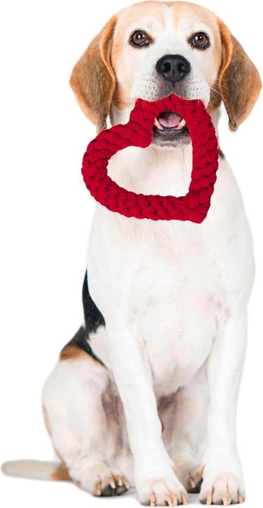 Produktbild Laboni Hertha Heart (Apportieren, Kauspielzeug Hund, Wurfspielzeug Hund)