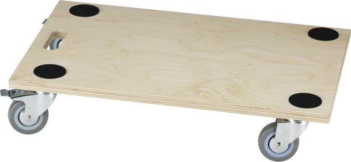 Actual product image Dörner + Helmer Economy Atlas (300 kg)