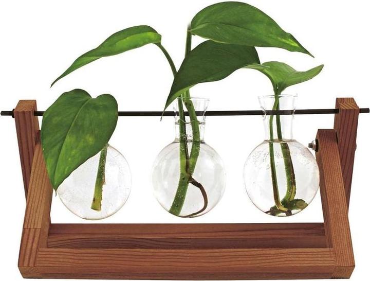 Actual product image Winkee Hydro Vases Blossom - Vase (1 x)
