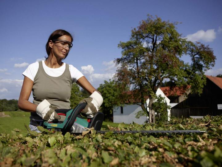Actual product image Bosch Home & Garden AHS 54-20 Li (Cordless hedgecutters)