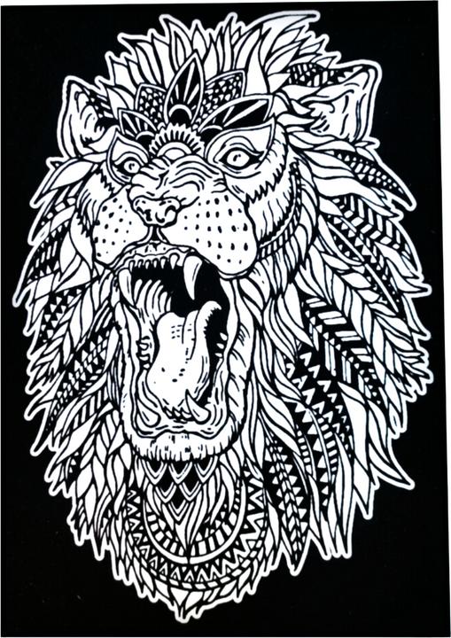 Actual product image ColorVelvet Colouring picture lion