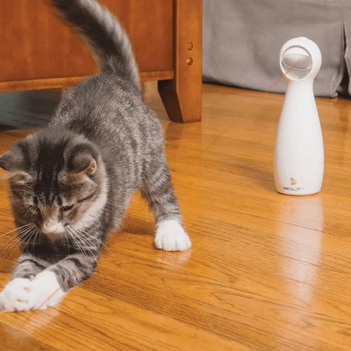 Immagine prodotto PetSafe Bullone (Catmint giocattolo)