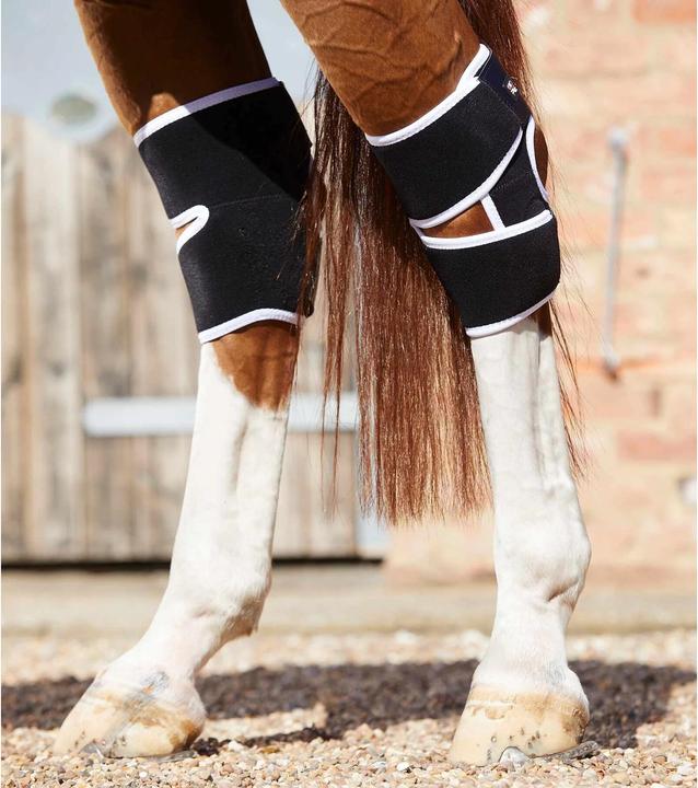 Actual product image Premier Equine magnetic knee protectors for horses magni-teque