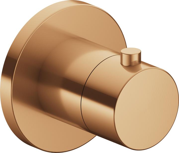 Bronze gebürstet