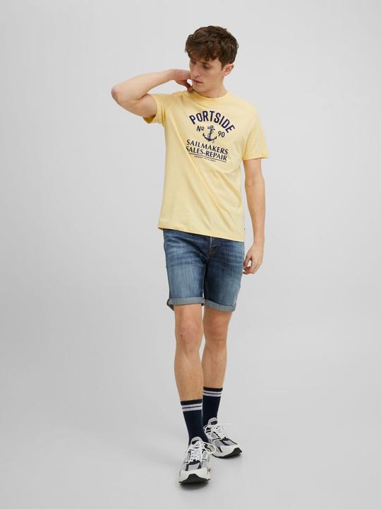 Actual product image Jack & Jones Maritime print T-shirt (M)