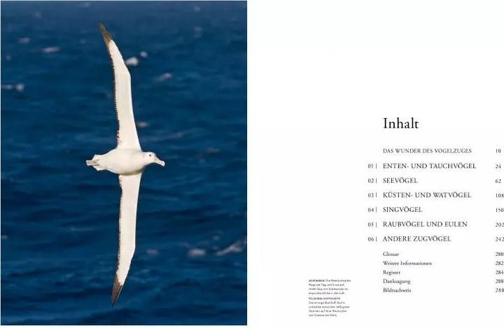Image du produit Zugvögel (Allemand, Mike Unwin, 2021)