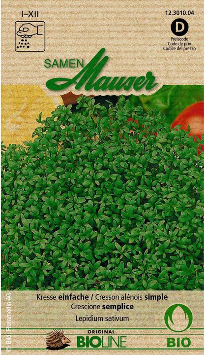 Actual product image Samen Mauser Bud organic cress (Herb seeds)