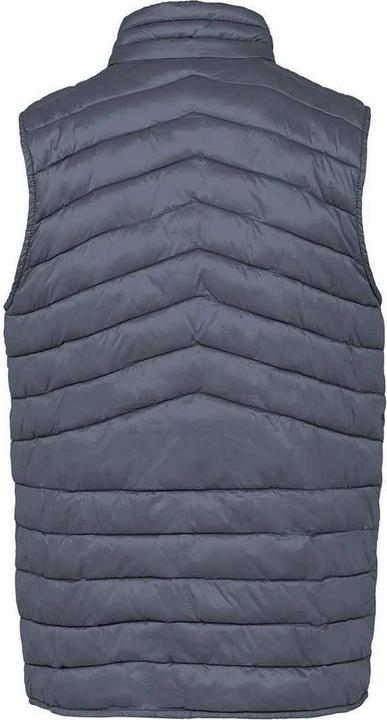 Immagine prodotto Native Spirit Gilet Imbottito Riciclato Uomo (L)