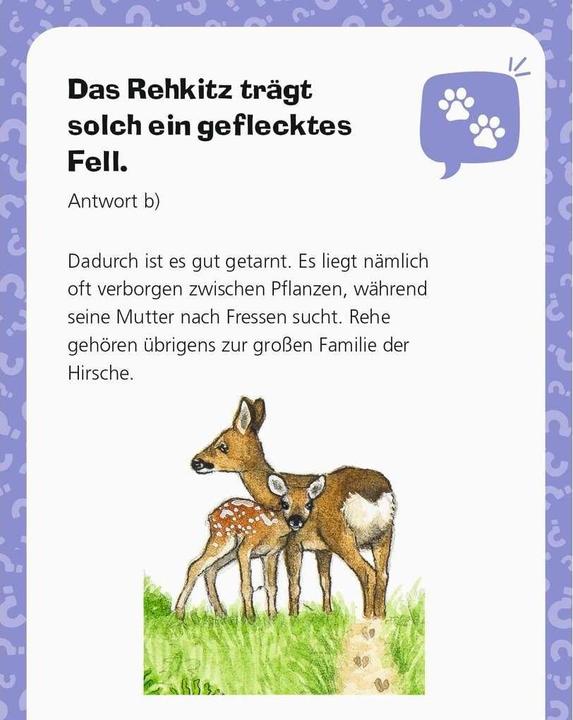 Produktbild Ravensburger Wieso? Weshalb? Warum?: Mein Kalender 2024 (Deutsch, Dela Kienle, 2023)