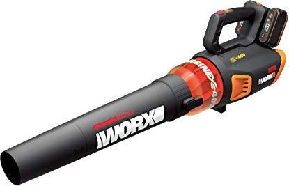 Worx WG584E.9 (Akkubetrieb, Laubbläser)