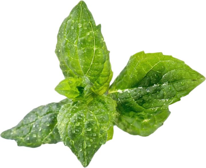 Actual product image Véritable Organic Peppermint (Herb seeds)