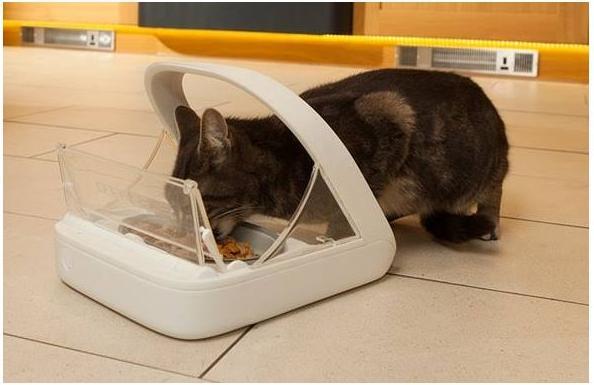 Productafbeelding SureFeed Microchip feeder (0.40 l)