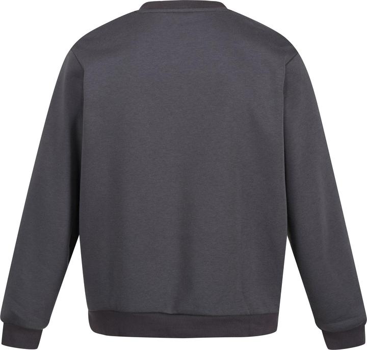 Produktbild Regatta Pro Sweatshirt Rundhalsausschnitt (3XL)