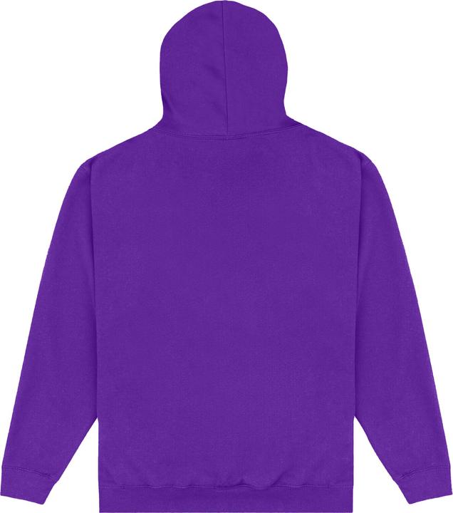 Immagine prodotto Terraria Since 2011 Felpa con Cappuccio Adulto Unisex (S)