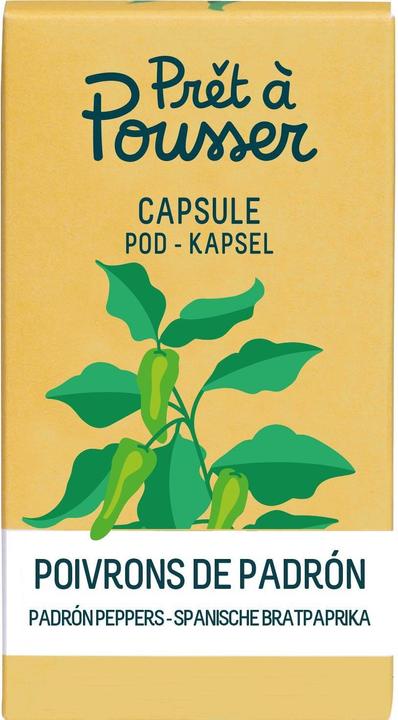Prêt à Pousser Saatgut Padron-Paprika (Kräutersamen)