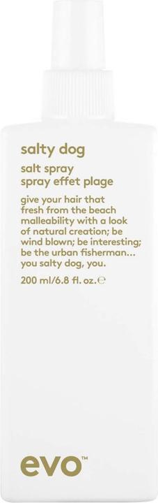 Actual product image Evo Salty Dog Salt Spray (200 ml)