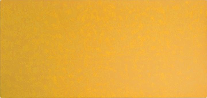 Actual product image Exacompta BEEBLUE - Desk pad (40 x 80 cm)