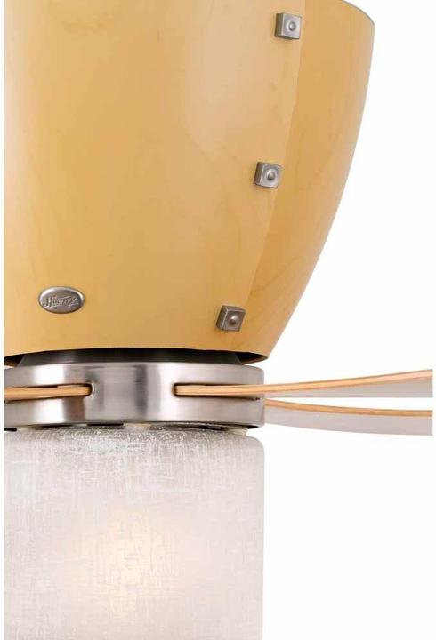 Actual product image Hunter Fans Valhalla