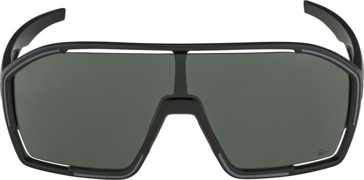 Immagine prodotto ALPINA SPORTS Bonfire Q-Lite (Nero opaco, Argento)