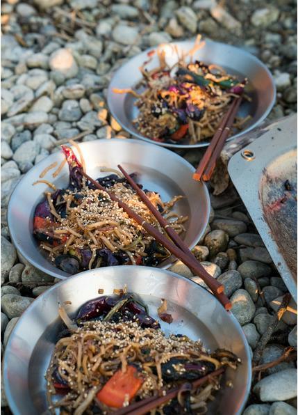 Actual product image Primus CampFire Plate