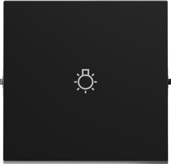 Actual product image Legrand SEANO rocker with light symbol for changeover switches, push-buttons and cross switches