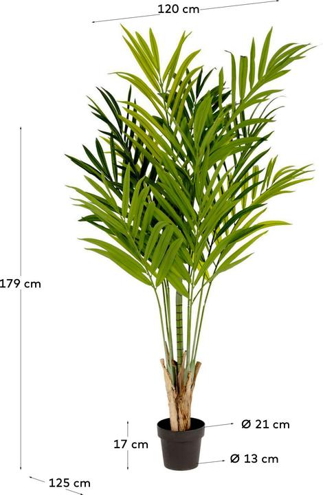 Image du produit Kave Home Palmera (179 cm)