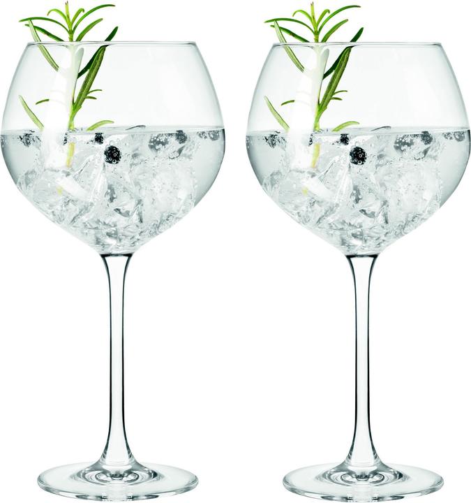 Leonardo Gin Gläser (6.30 dl, 2 x, Gin Gläser)