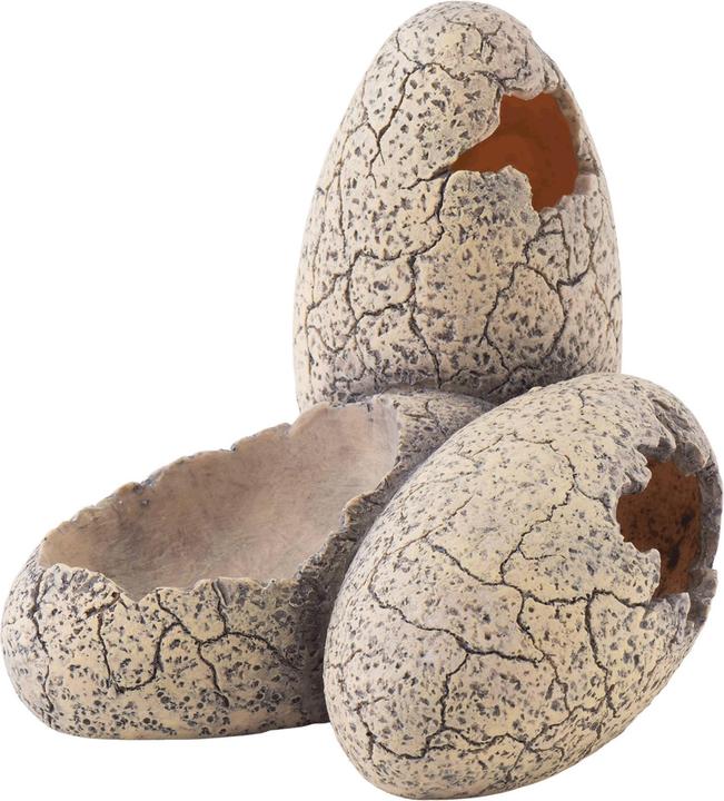 Produktbild Exo Terra Dinosaur Eggs