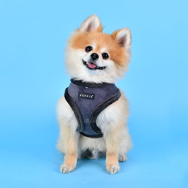 Produktbild Puppia Terry A (XL, Hund, Spazieren)