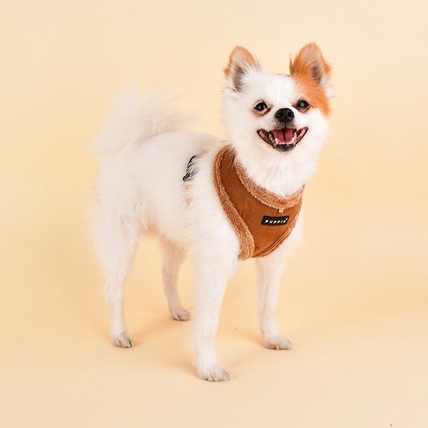Produktbild Puppia Terry A (XL, Hund, Spazieren)