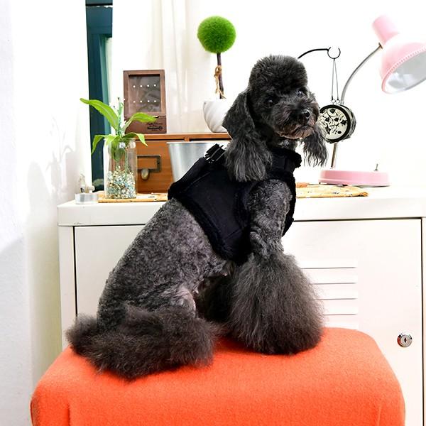 Image du produit Puppia Terry B (S, Chien, Promenade)