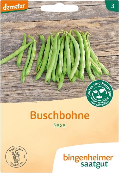 Image du produit Bingenheimer Saatgut Haricot nain Saxa (Germes)