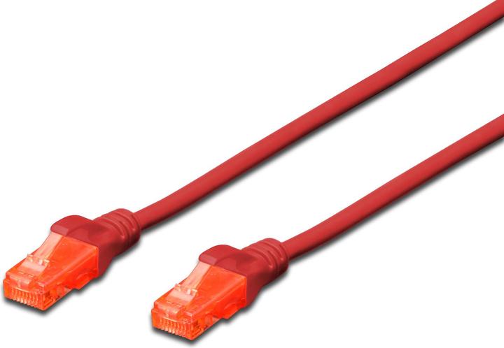 Rot