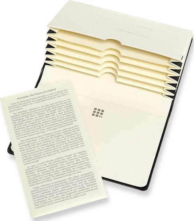 Actual product image Moleskine PROFESSIONAL - Portfolio (9 x 14 cm, Hardcover)