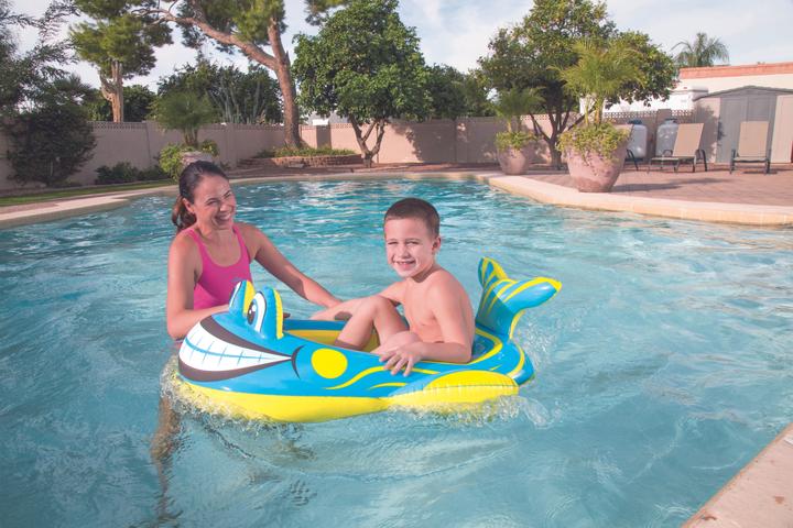 Actual product image Bestway Pool Float