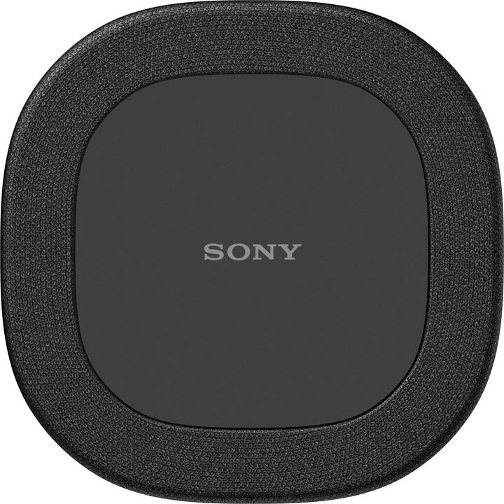 Actual product image Sony SA-RS8 (1 pair, 100 W)