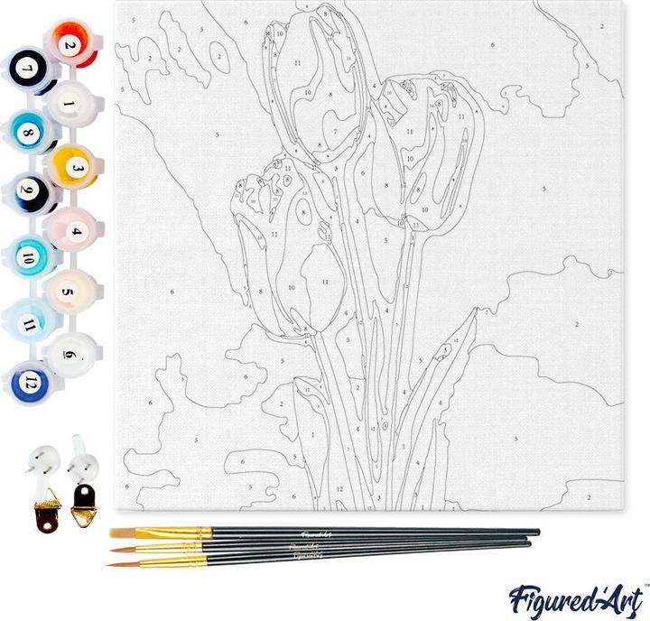 Immagine prodotto Figured'Art Mini Kit da Dipingere con i Numeri con Cornice - Tulipani e cielo azzurro