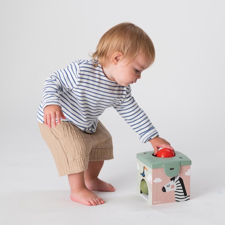 Immagine prodotto Taf Toys Scatola magica Giocattolo di attività