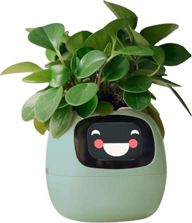 Actual product image Hermex Smart Plant Pot Electronic flower pot USB plant planter Smart flower pot Ivy Smart Planter (11 cm)