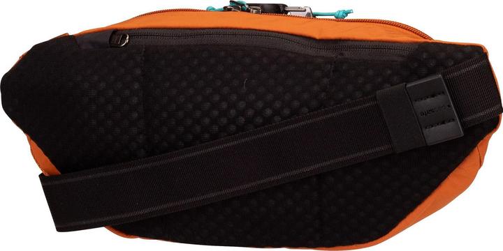 Actual product image Pacsafe Eco anti-theft waist pack