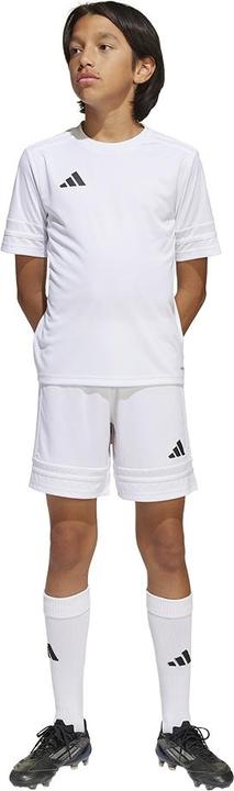 Actual product image adidas Squadra 25 Short Kids (152)