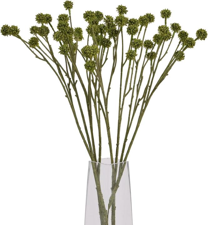 Actual product image Hill Interiors Craspedia Artificial Plant (60 cm)