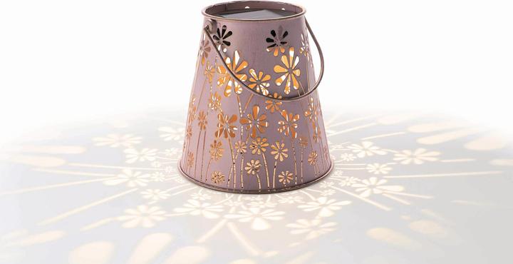 Actual product image STT Antic Daisy