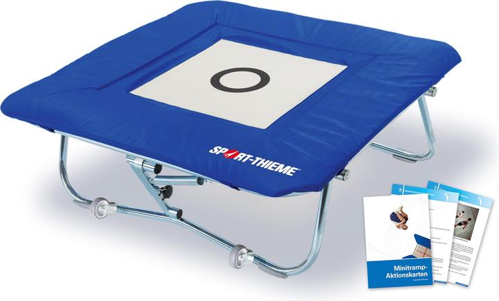 Immagine prodotto Sport-Thieme Minitramp Standard