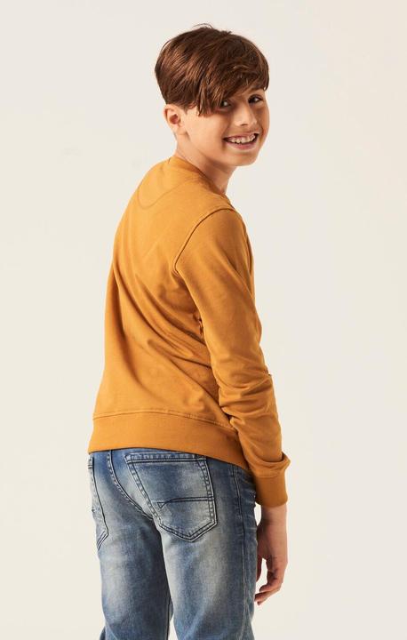 Produktbild Garcia Pullover maple (152)