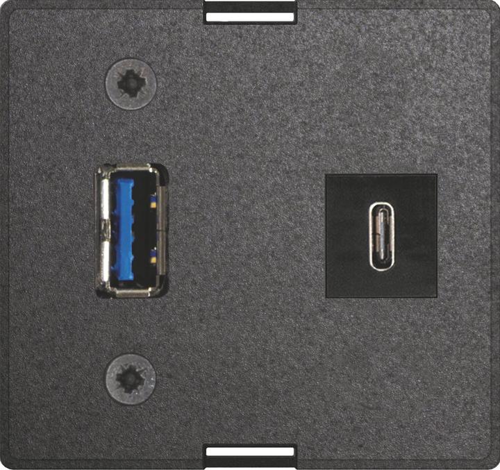 Actual product image Evoline USB C & A interchangeable module + power supply unit suitable for built-in sockets, black