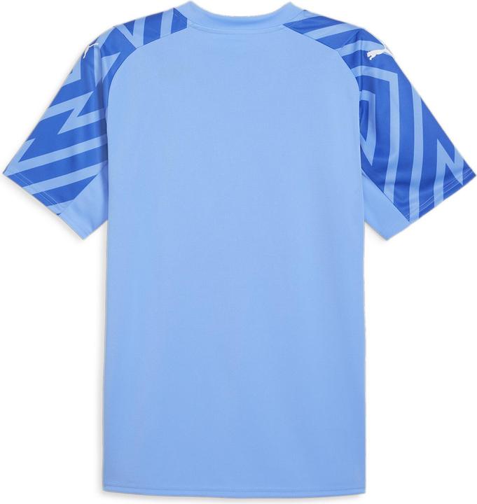 Image du produit Puma ASF GK Jersey SS Replica (XXL)